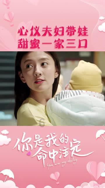 安全的港口